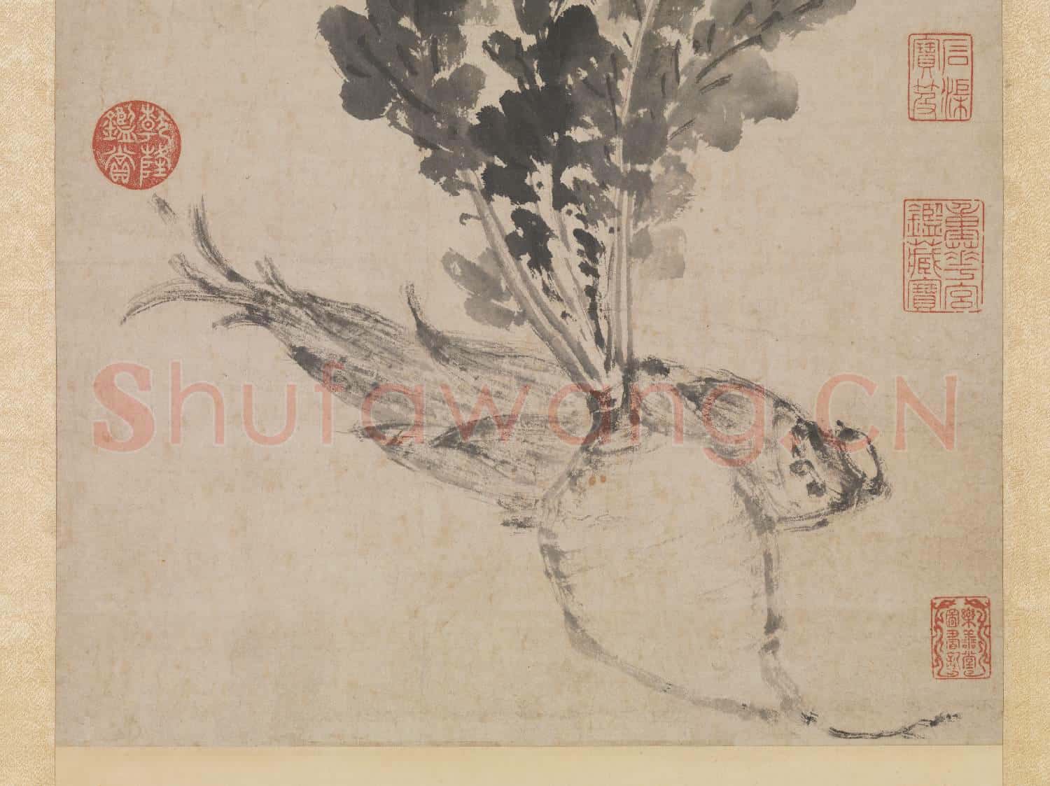 明沈周蔬筍寫生 軸