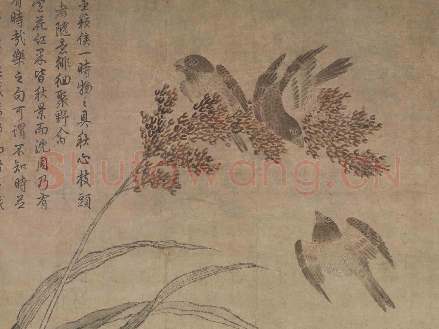 明呂紀畫草花野禽 軸