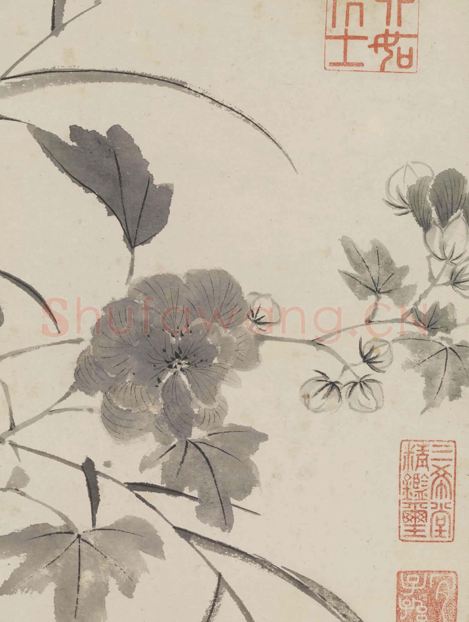 明唐寅臨水芙蓉圖 軸