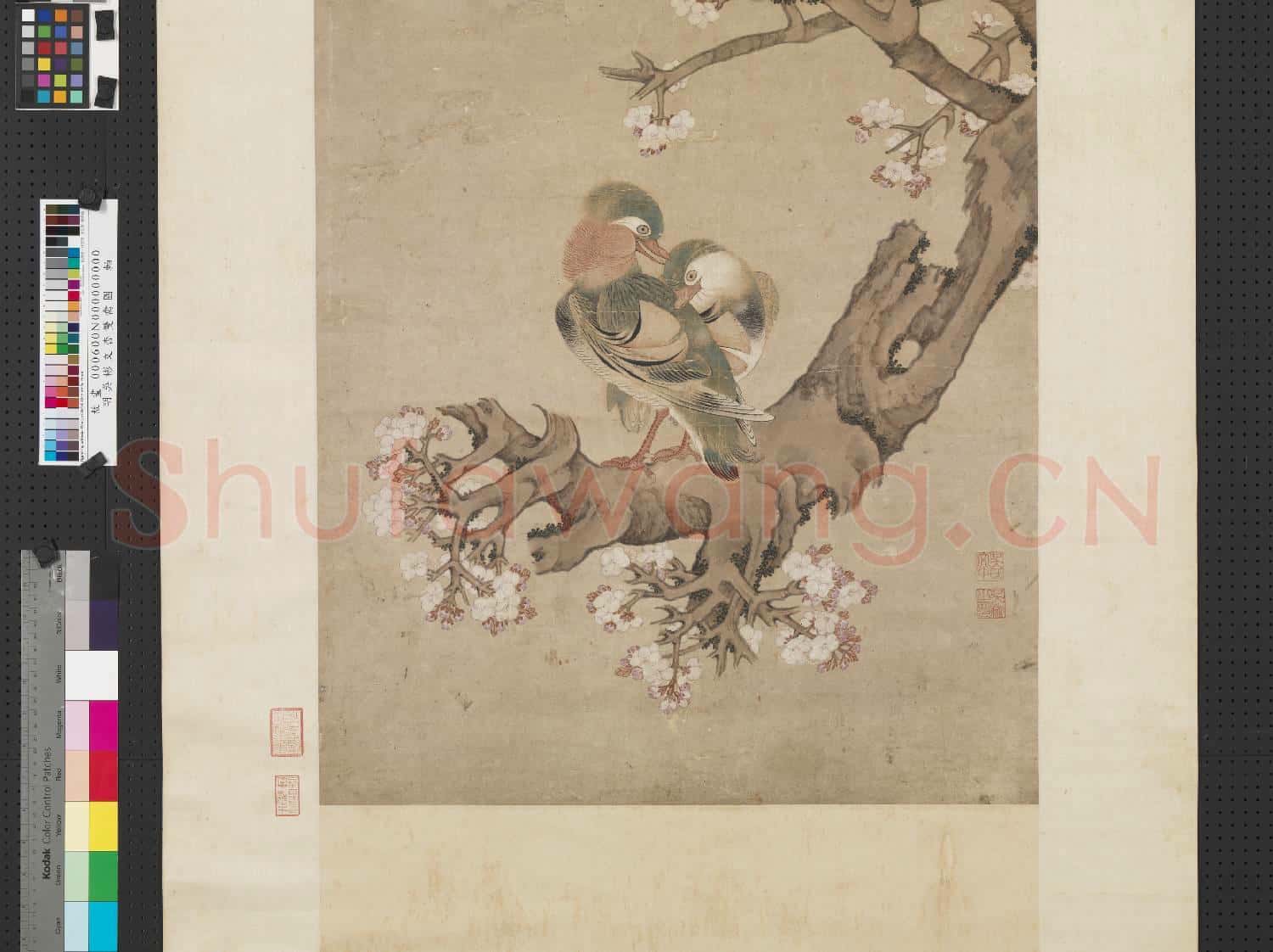明吳彬文杏雙禽圖 軸