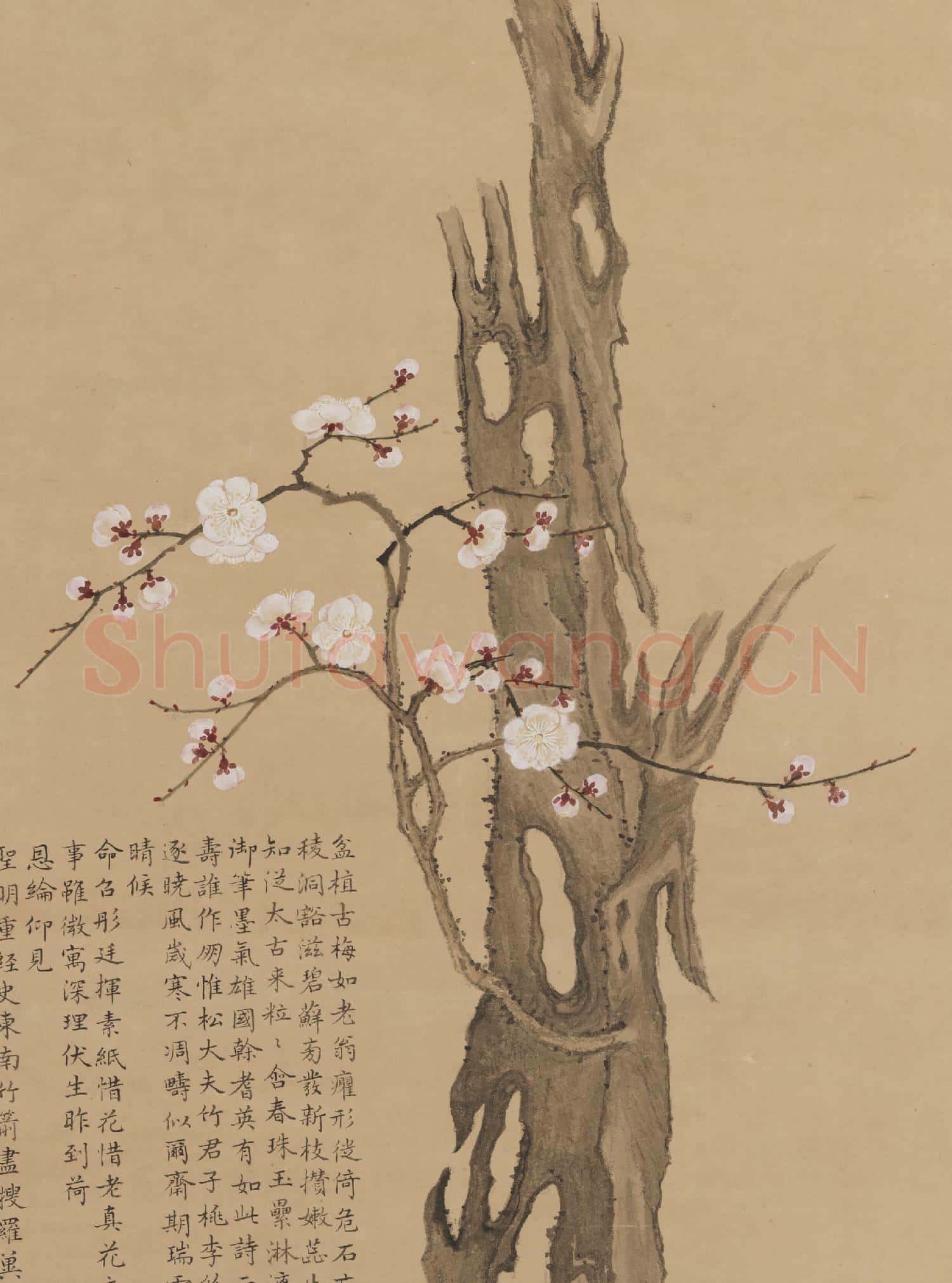 清鄒一桂畫古榦梅花 軸