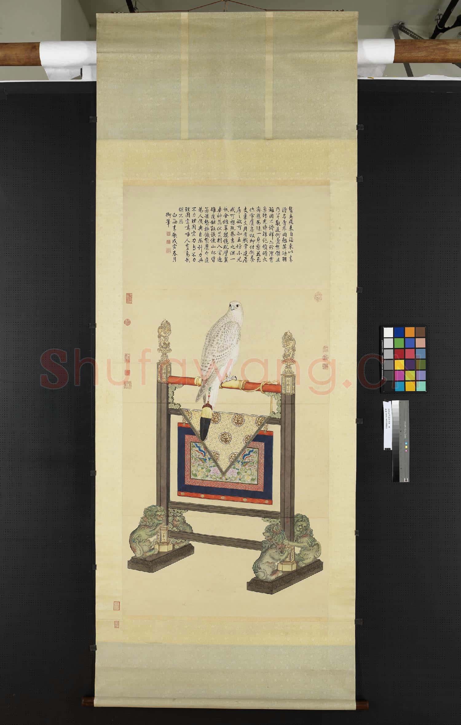 清郎世寧畫白海青 軸