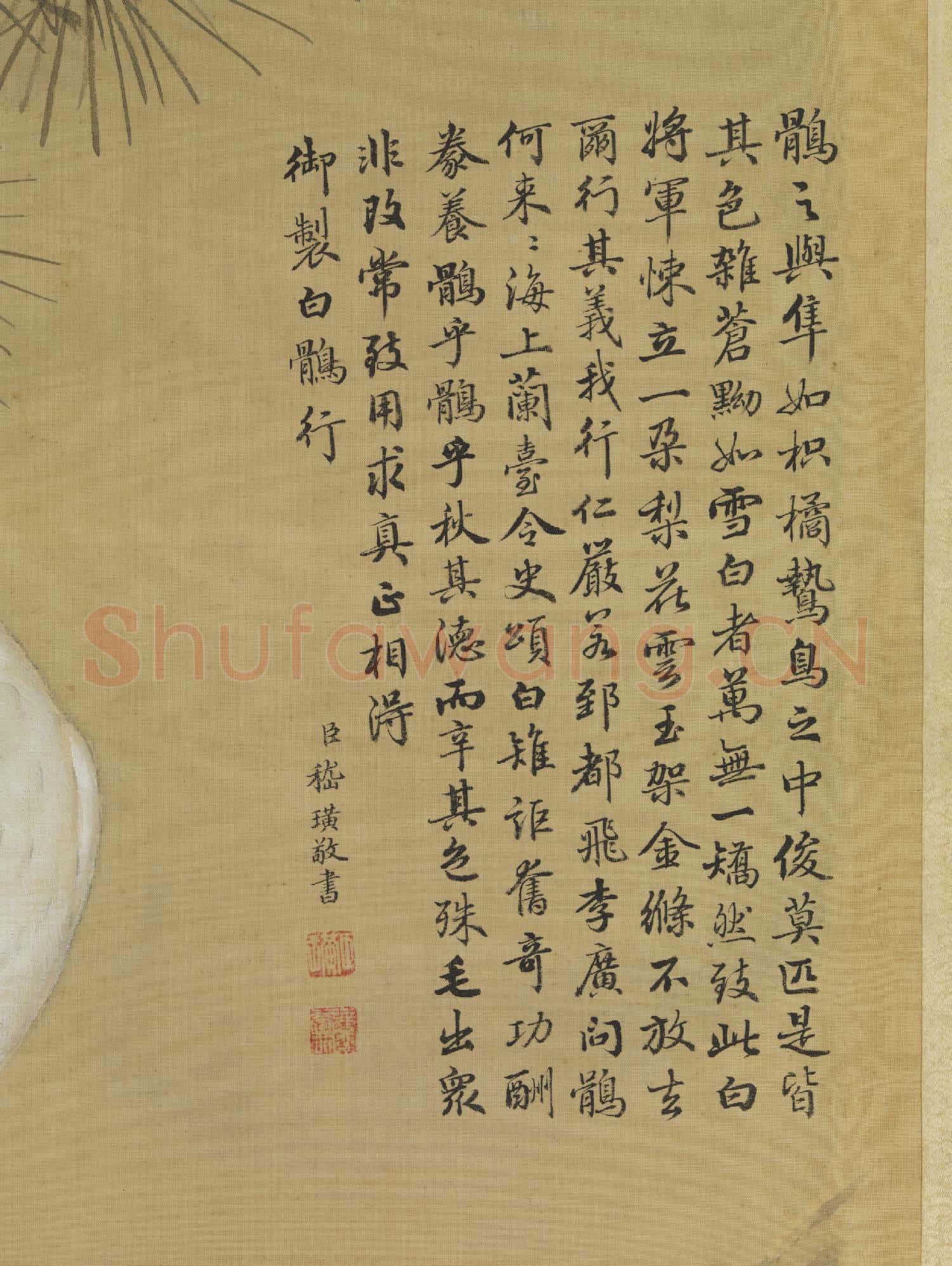 清郎世寧白鶻圖 軸