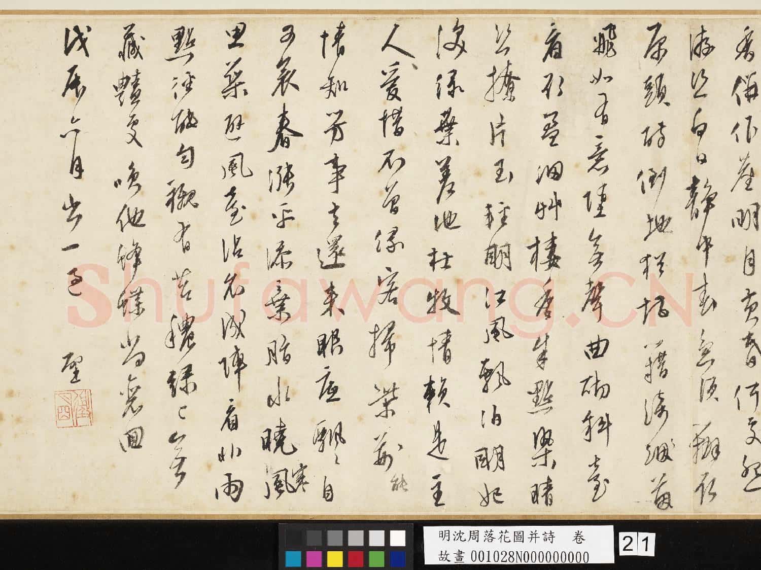 明沈周落花圖并詩 卷