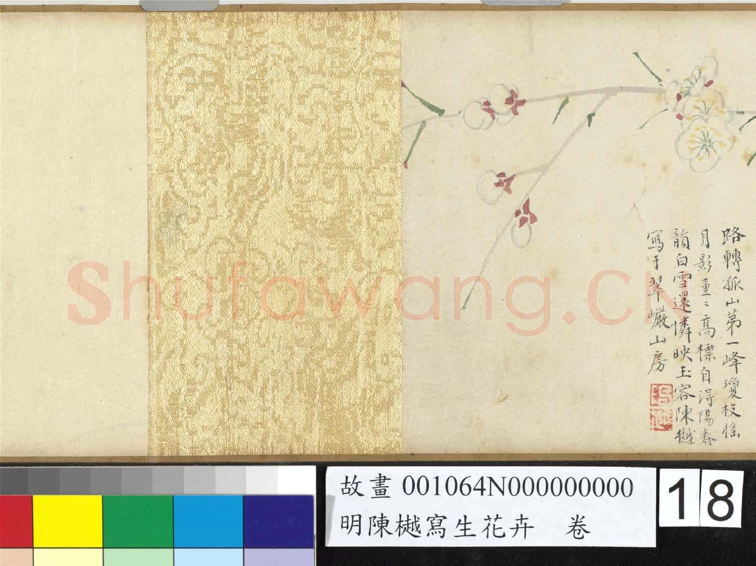 明陳樾寫生花卉 卷