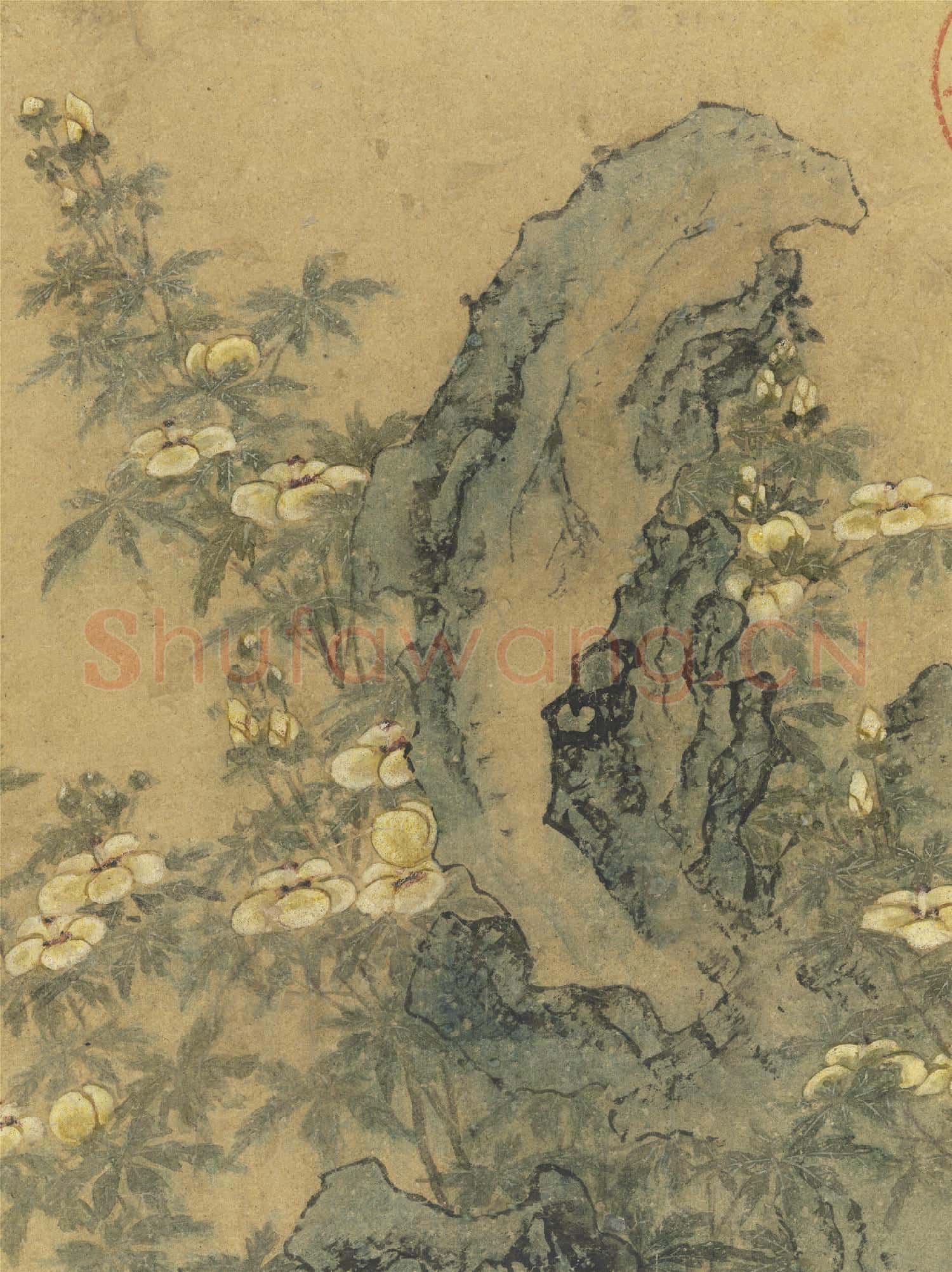 唐刁光胤寫生花卉 冊 立石葵花下襯雜卉