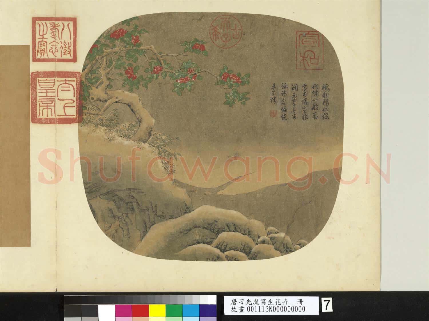 唐刁光胤寫生花卉 冊 綠蕪春嶼老幹紅英