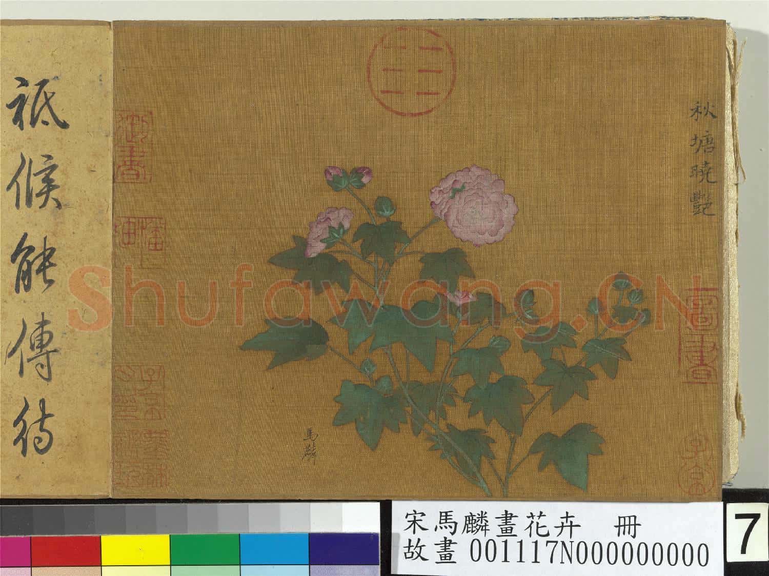 宋馬麟畫花卉 冊 秋塘曉艷