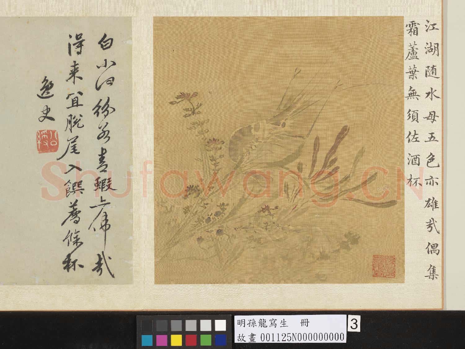 明孫龍寫生 冊 荇藻魚蝦