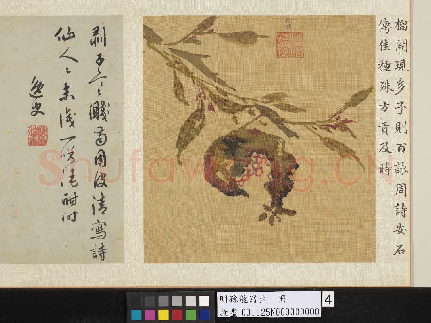 明孫龍寫生 冊 石榴