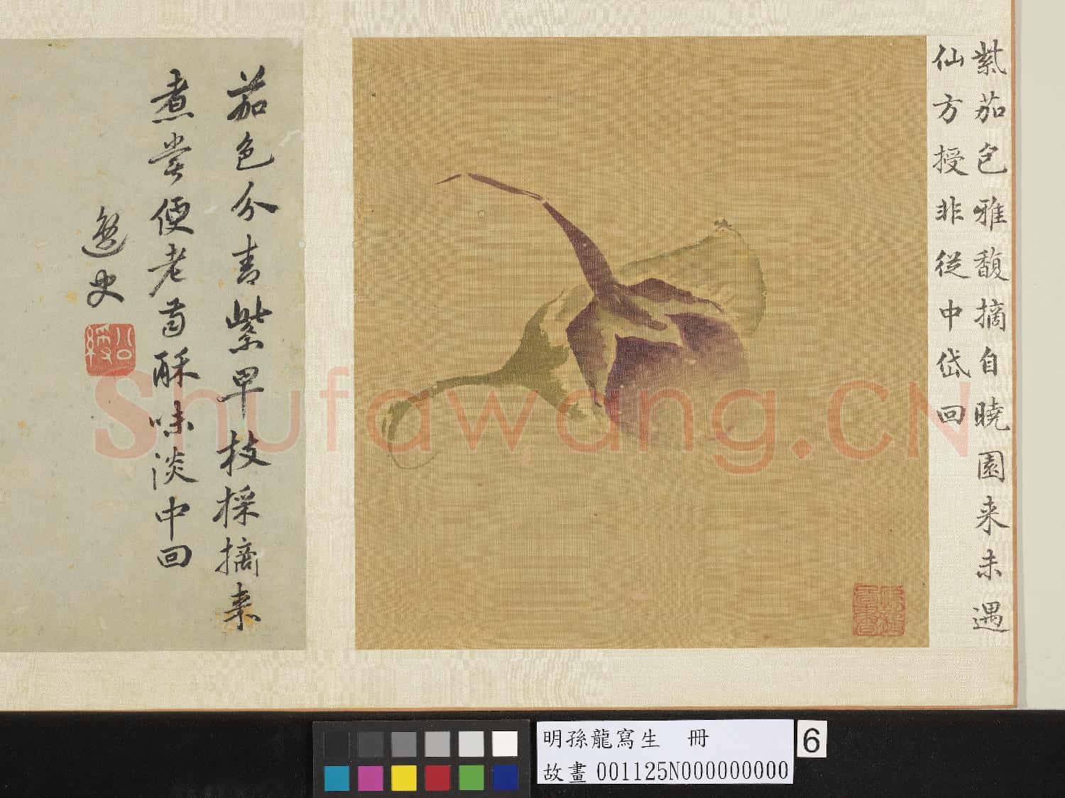 明孫龍寫生 冊 青紫茄