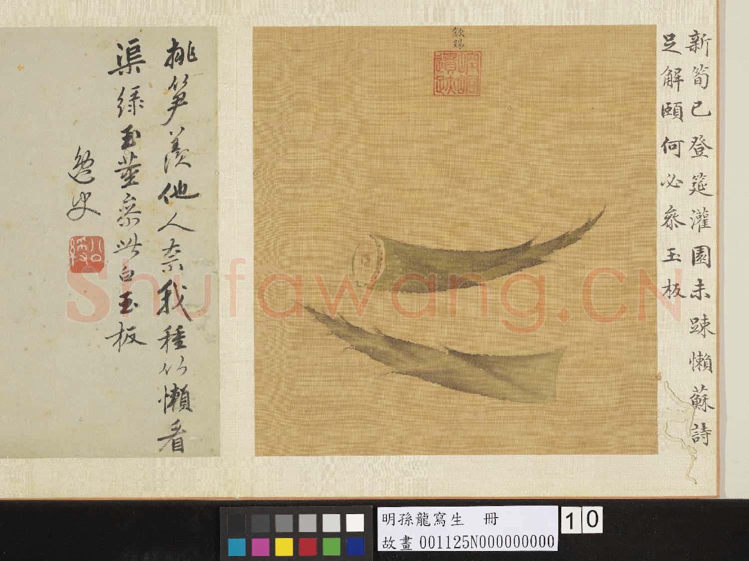 明孫龍寫生 冊 筍