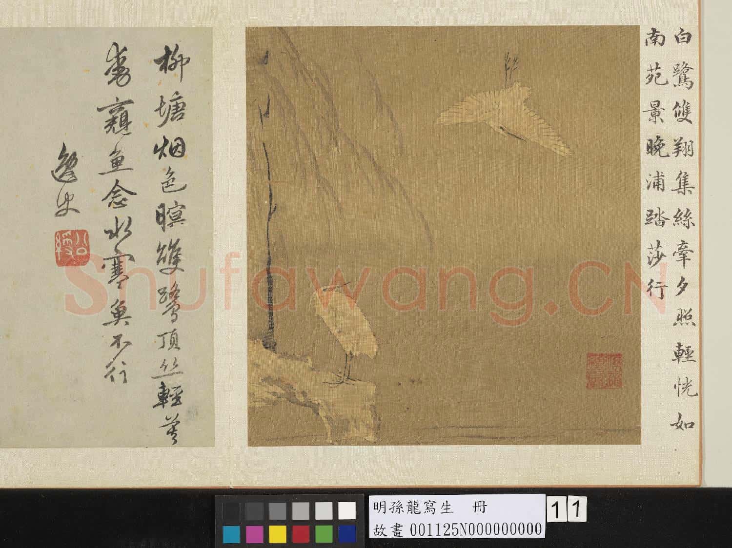明孫龍寫生 冊 柳塘白鷺