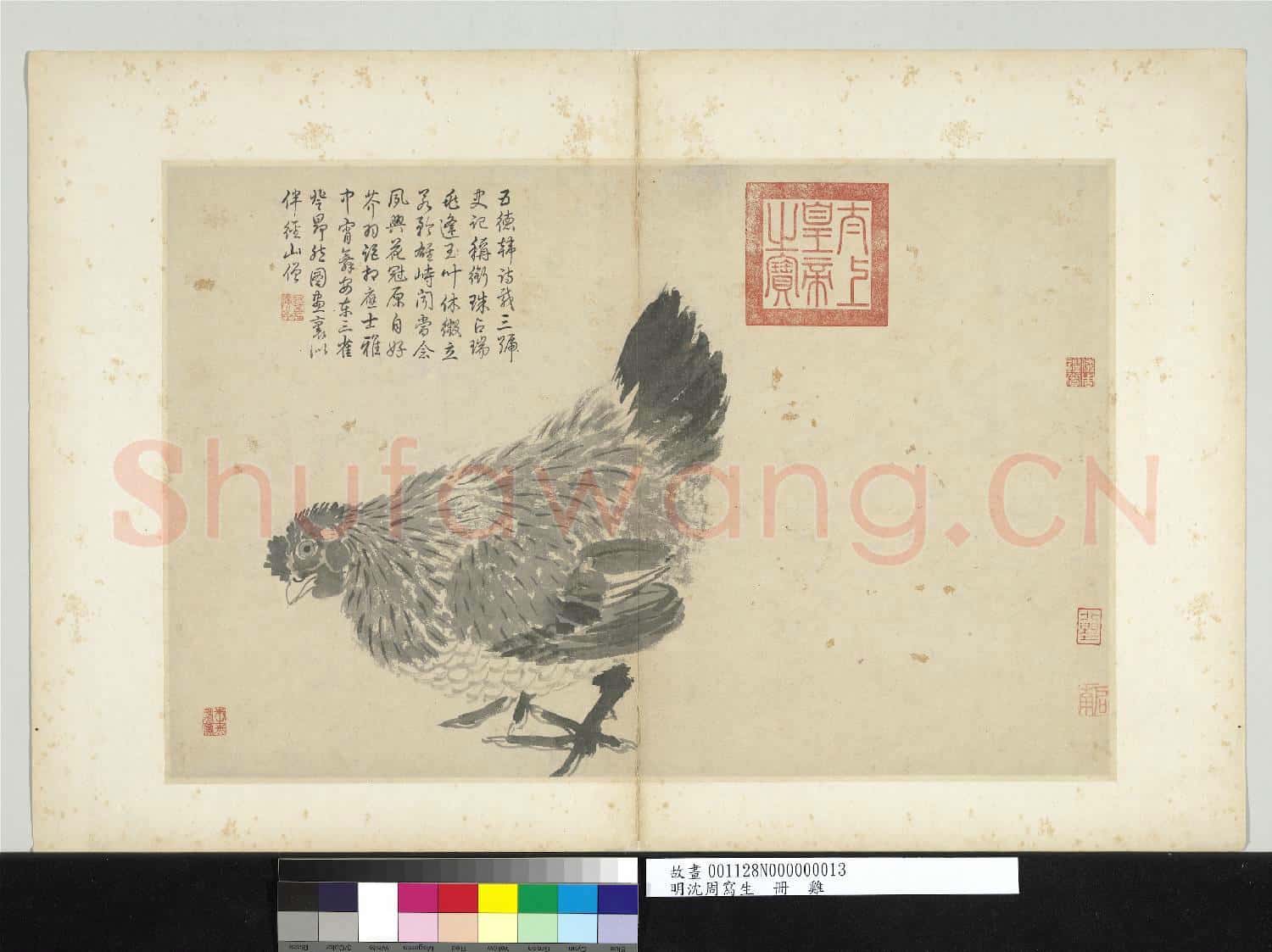 明沈周寫生 冊 雞