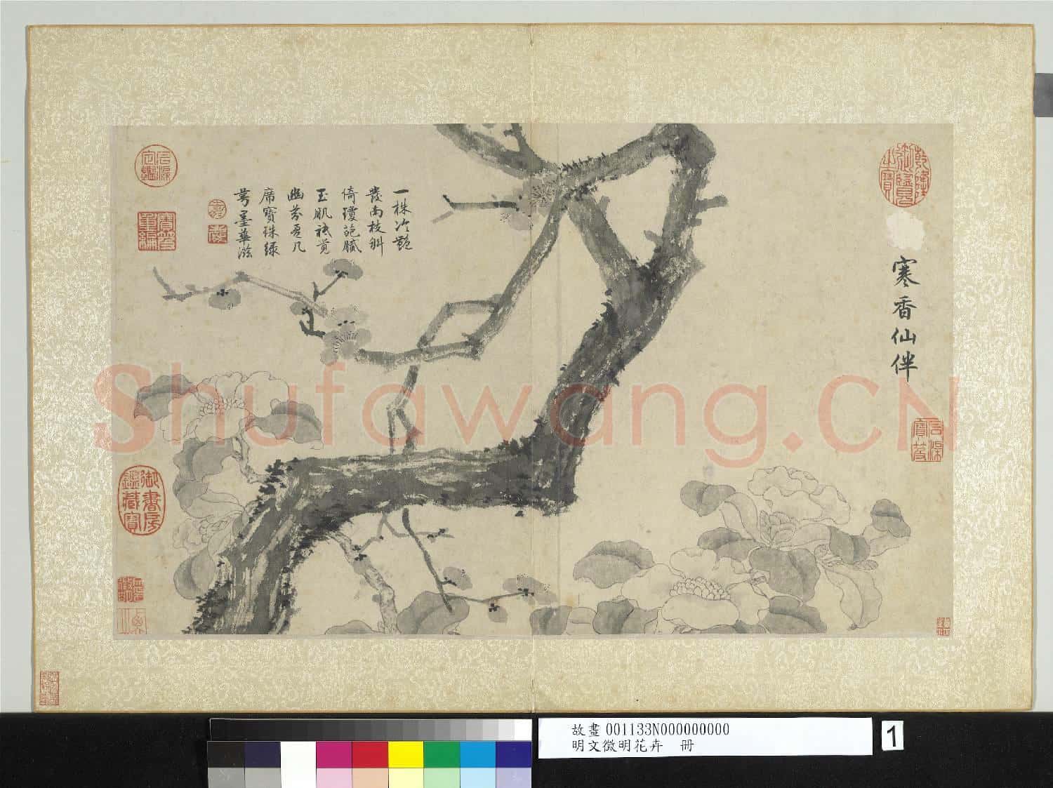 明文徵明花卉 冊 寒香仙伴