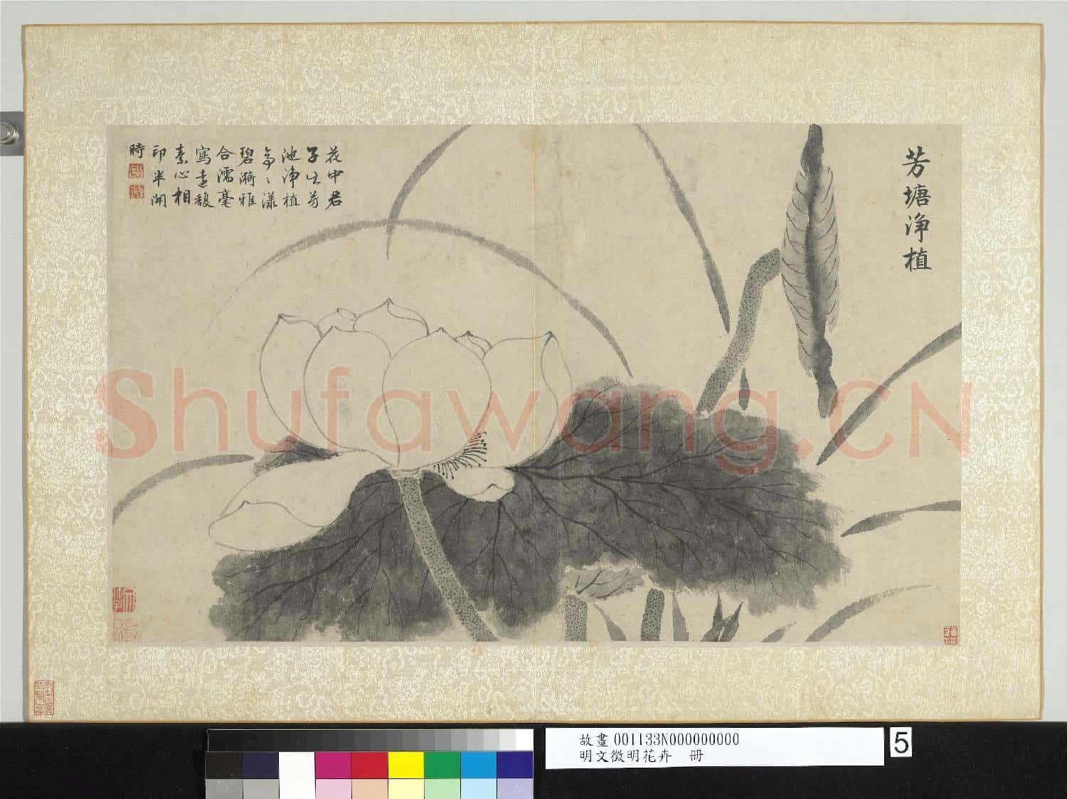 明文徵明花卉 冊 芳塘淨植
