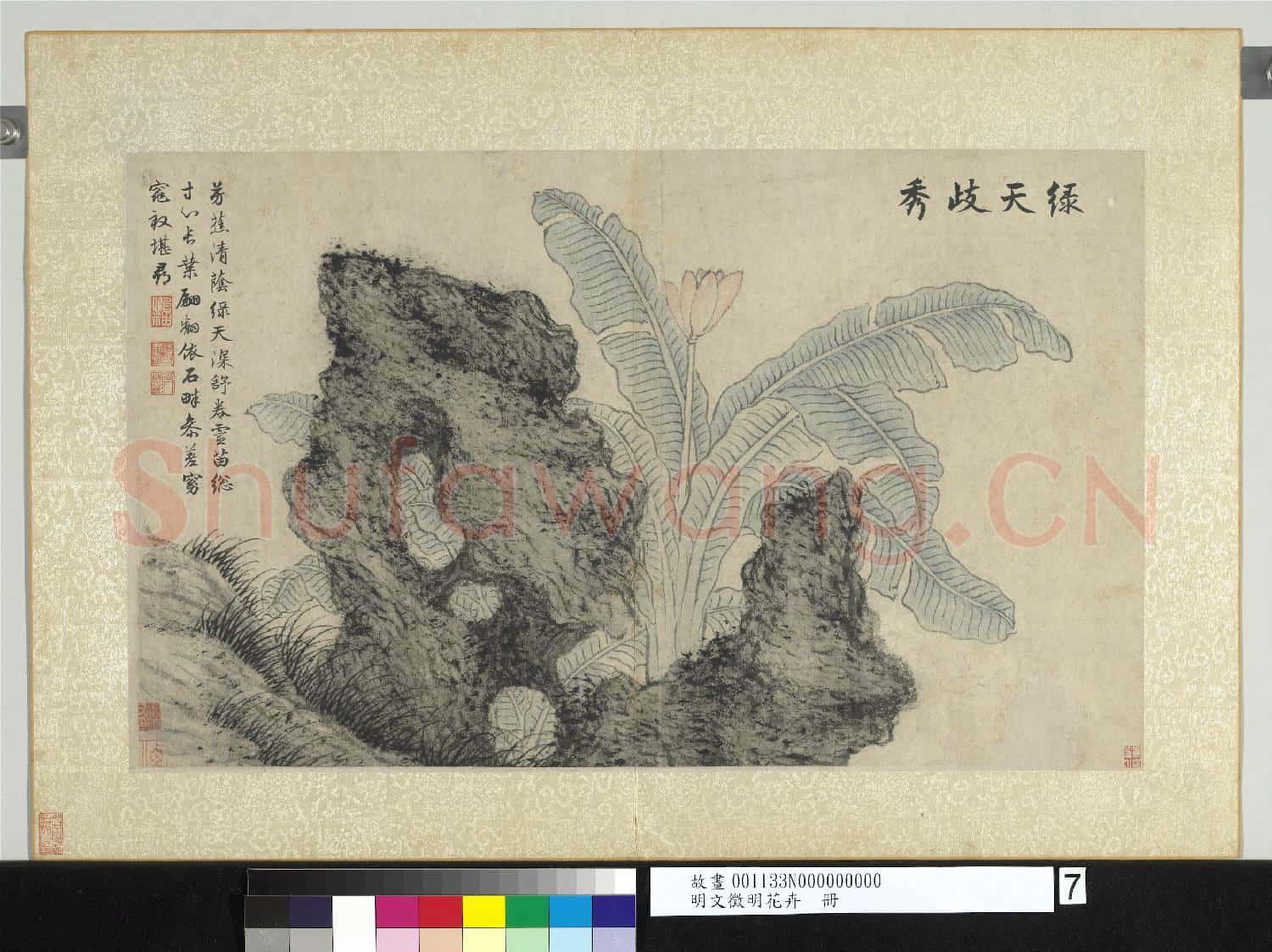 明文徵明花卉 冊 綠天歧秀
