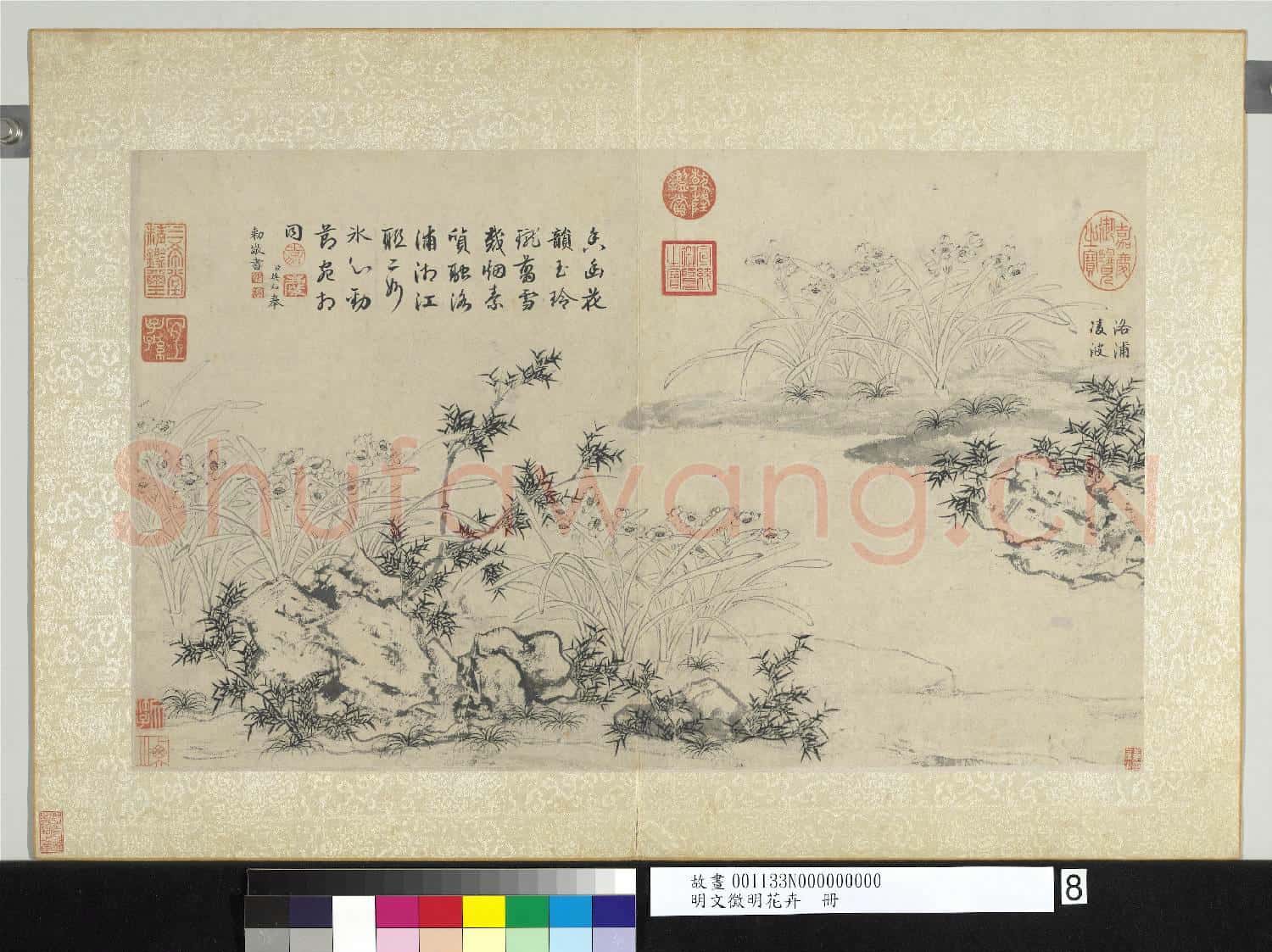 明文徵明花卉 冊 洛浦凌波