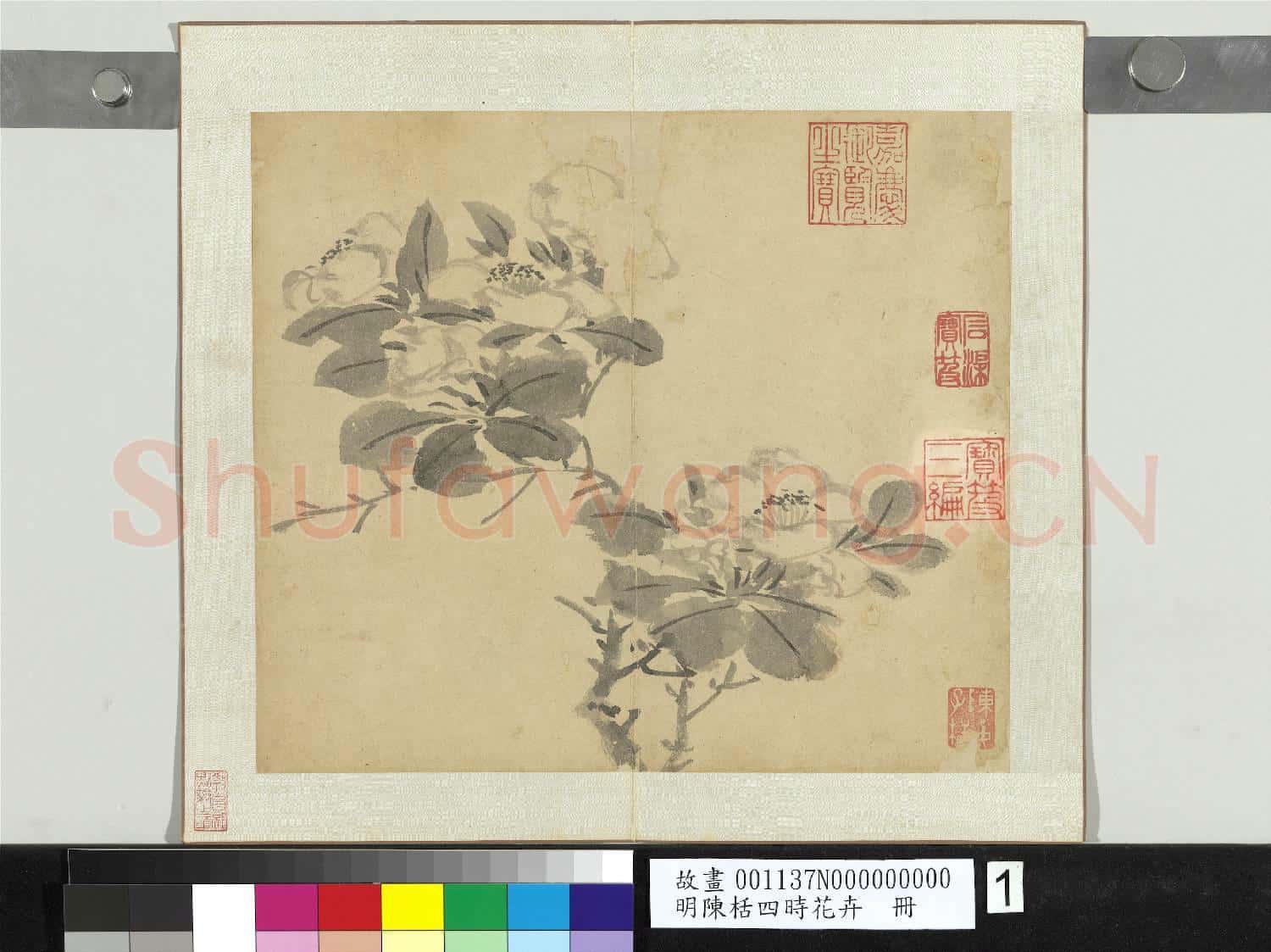 明陳栝四時花卉 冊 山茶