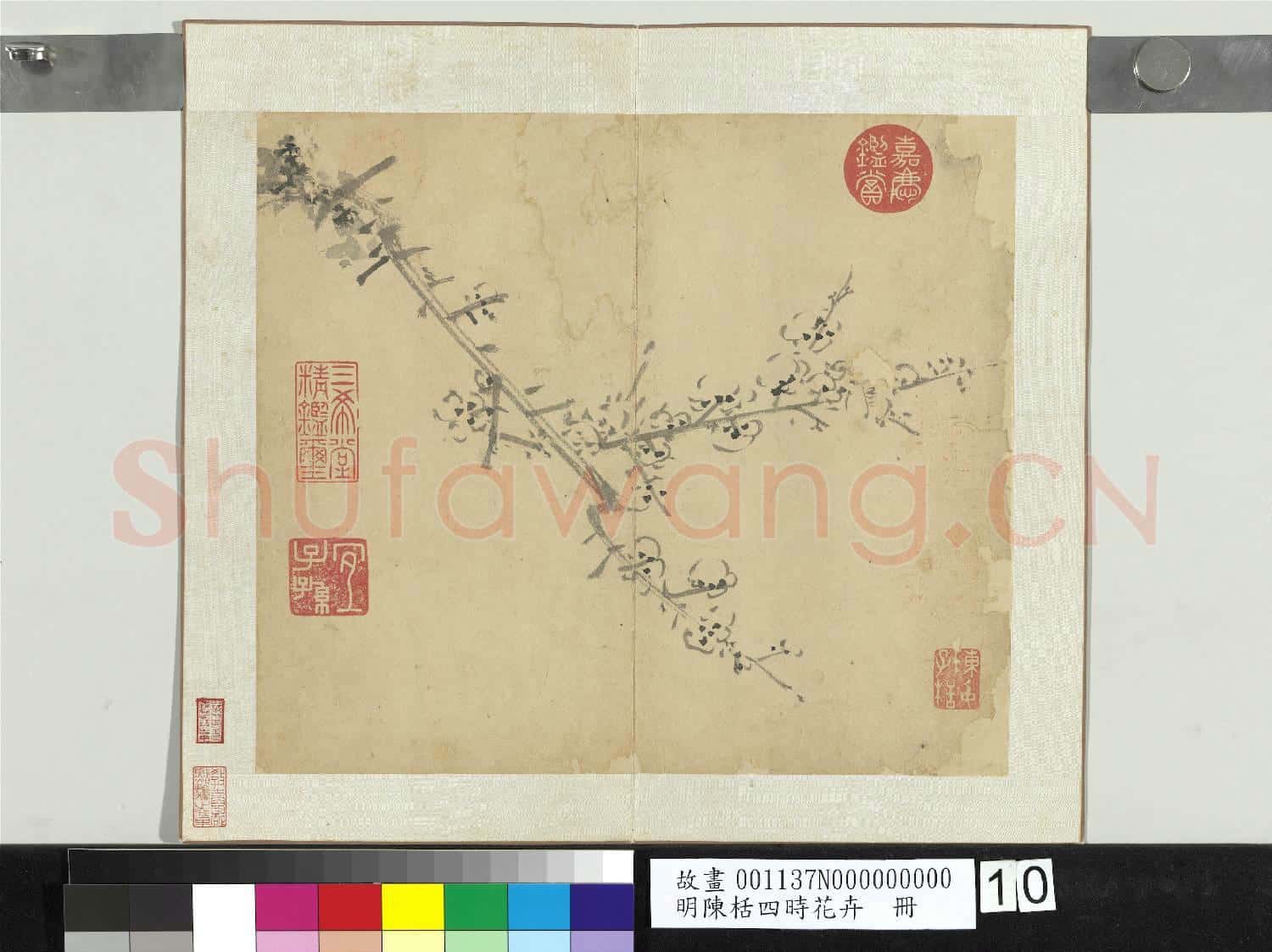 明陳栝四時花卉 冊 梅
