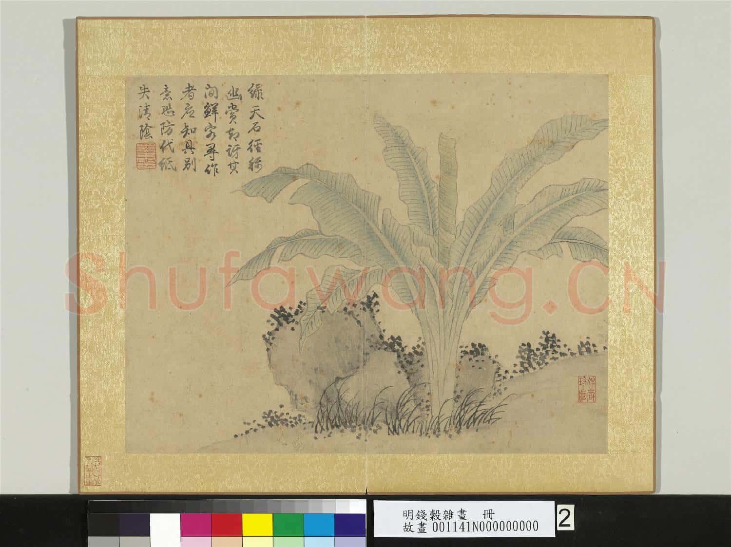 明錢穀雜畫 冊 蕉石