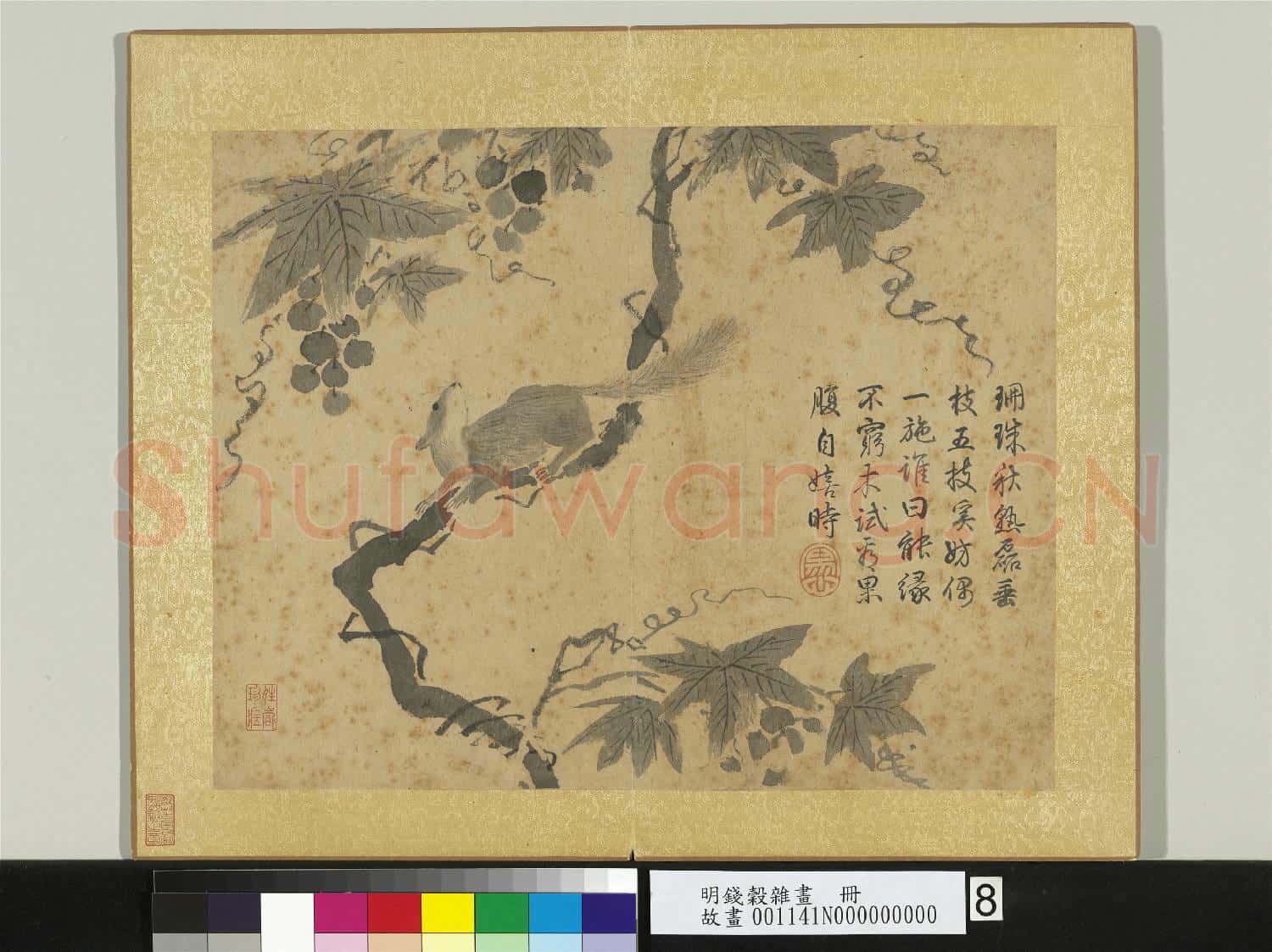 明錢穀雜畫 冊 葡萄松鼠