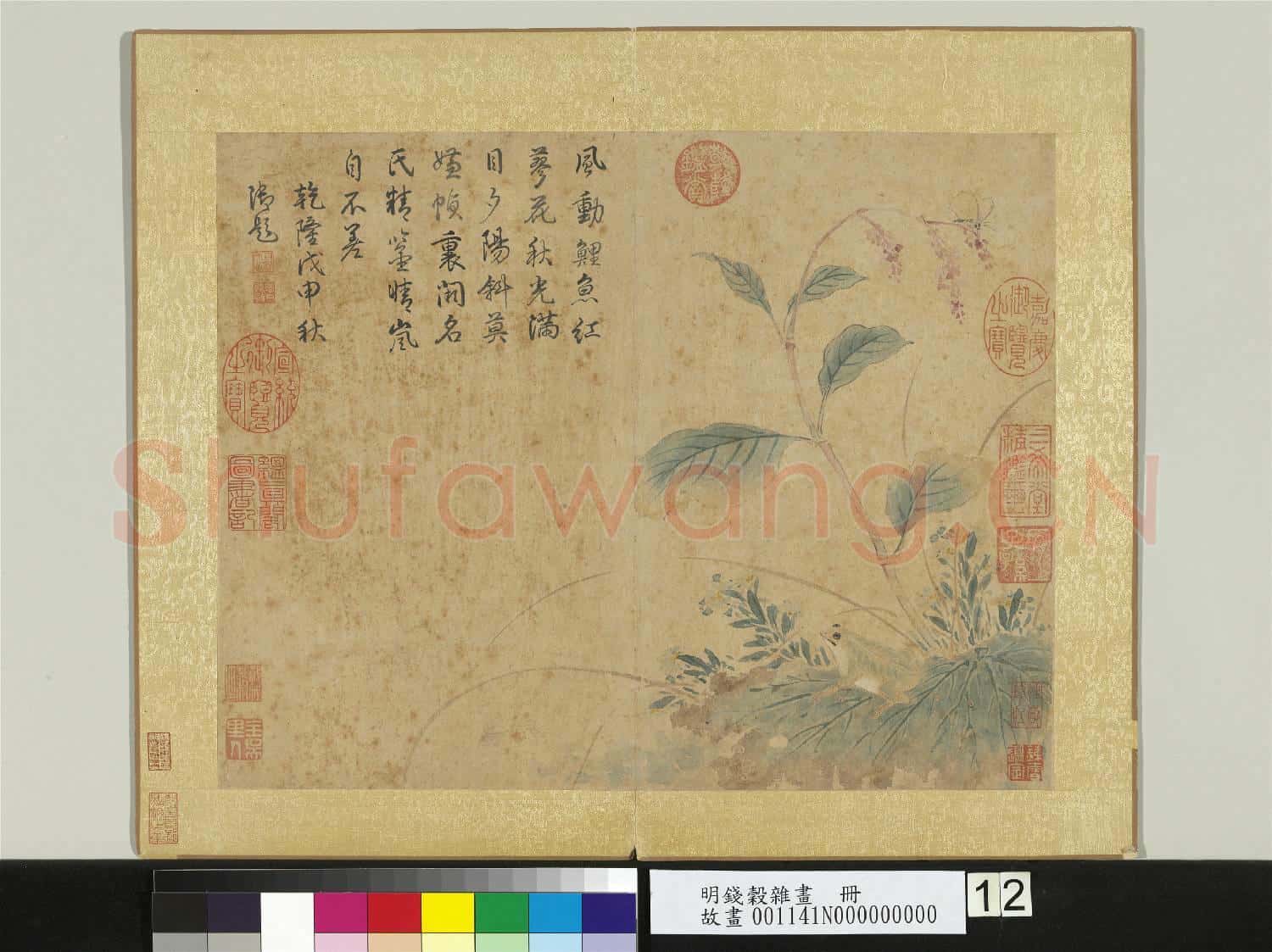 明錢穀雜畫 冊 蓼花殘荷