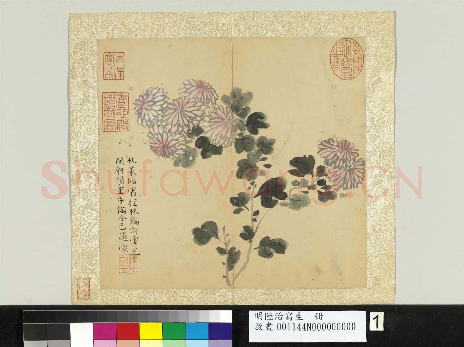 明陸治寫生 冊 林端雪花