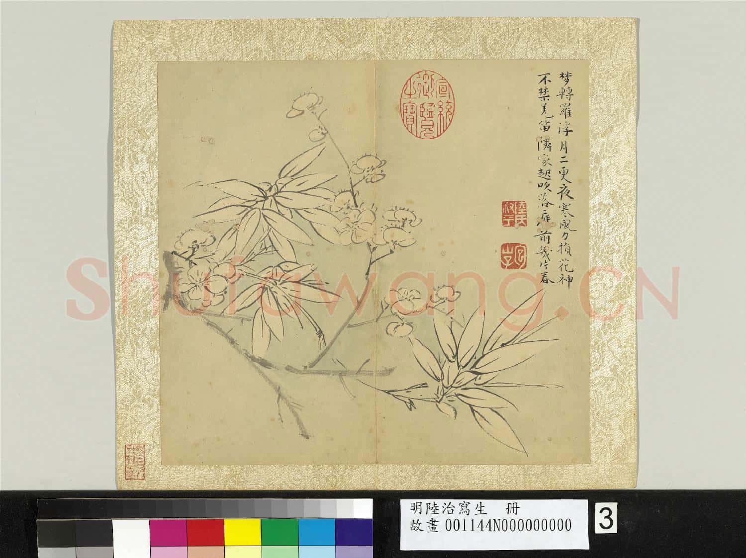 明陸治寫生 冊 庭前花落