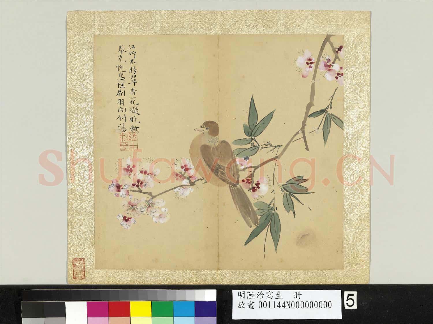 明陸治寫生 冊 翠竹杏花