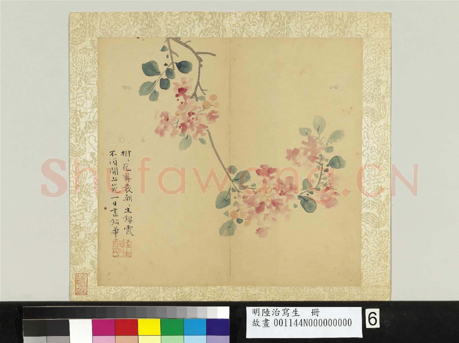明陸治寫生 冊 錦霞花發