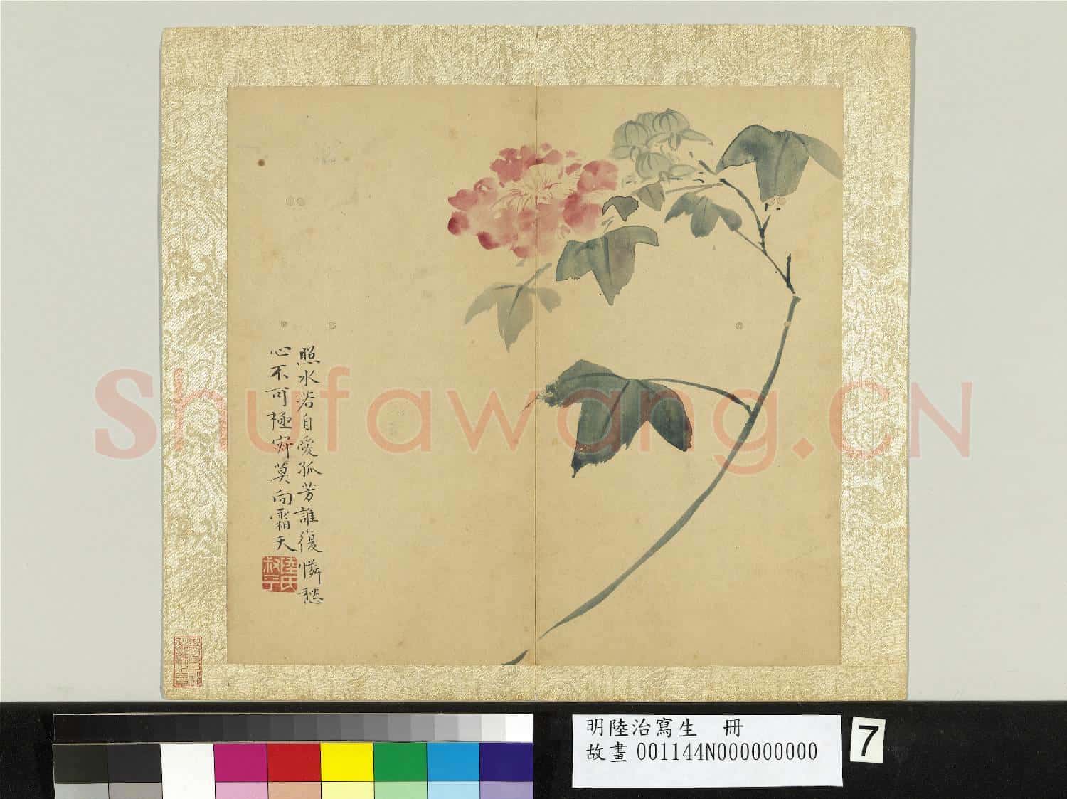 明陸治寫生 冊 孤芳照水
