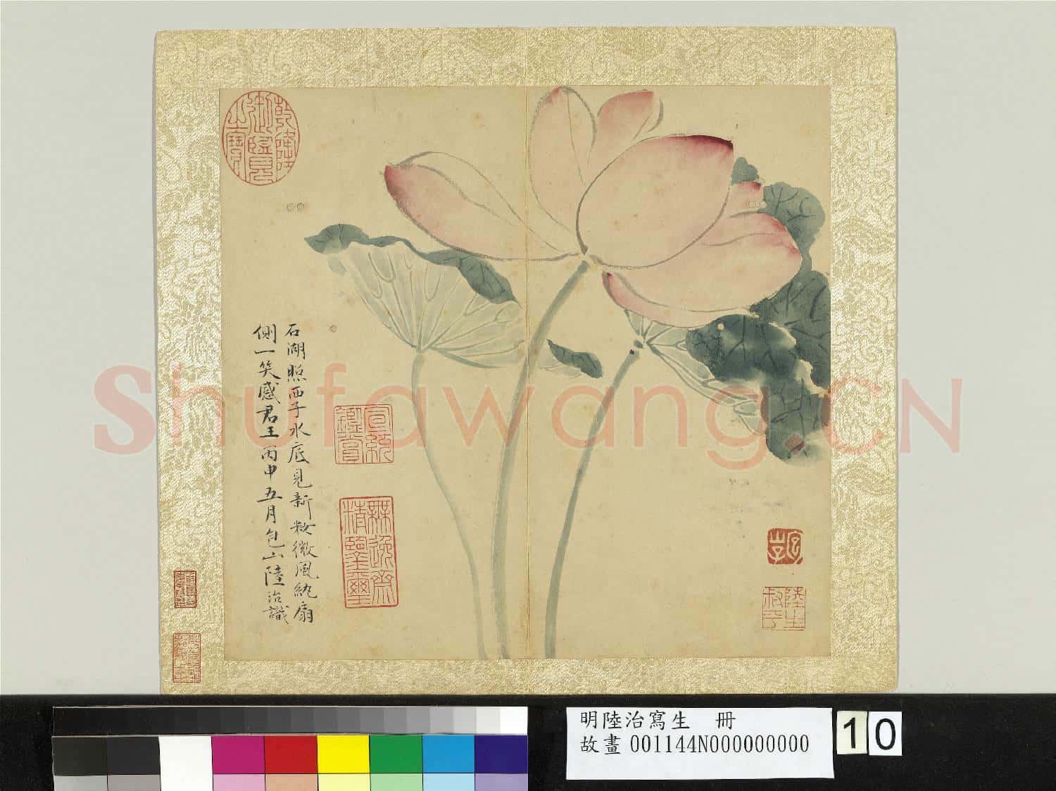 明陸治寫生 冊 西子新妝