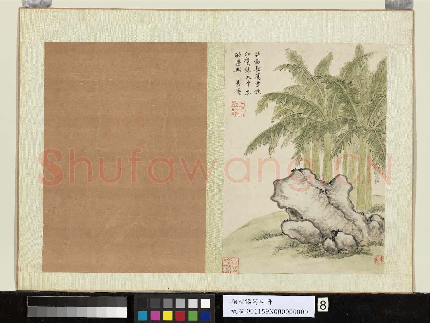 明項聖謨寫生 冊 蕉