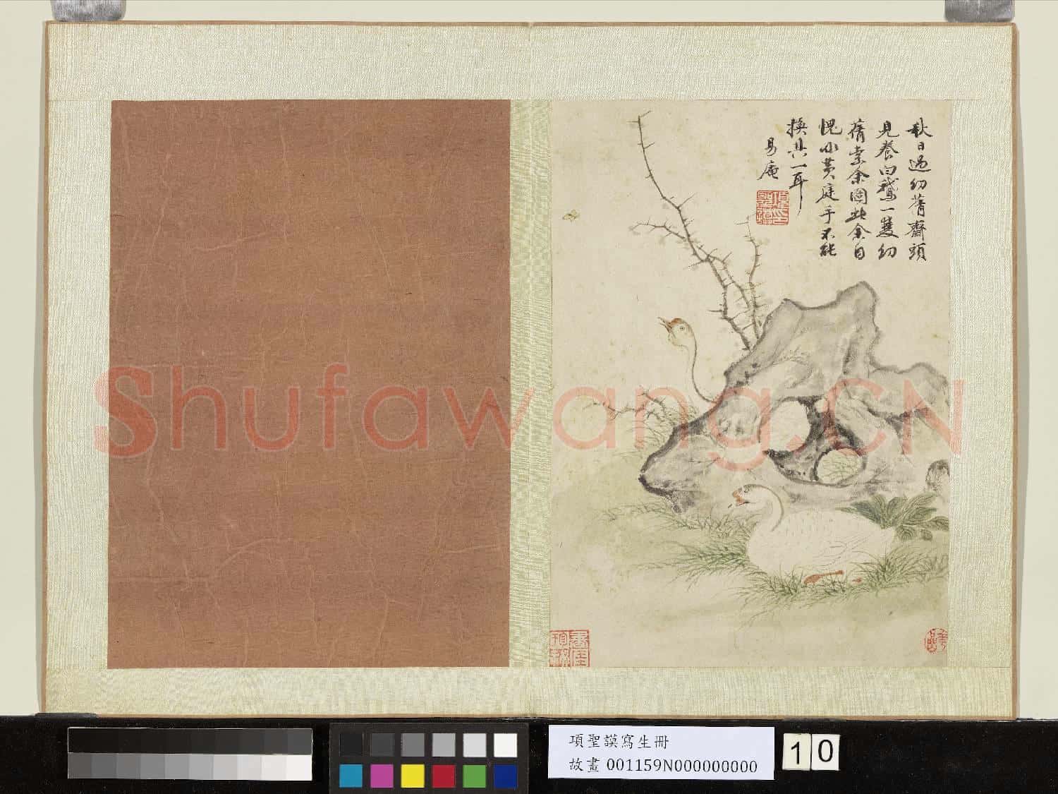 明項聖謨寫生 冊 白鵝