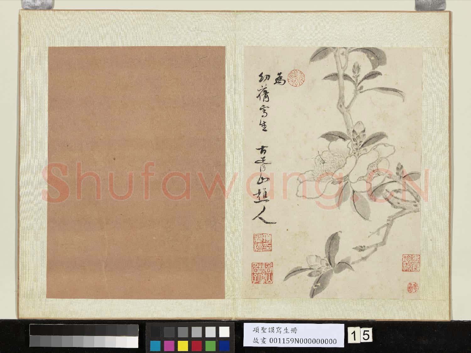 明項聖謨寫生 冊 山茶