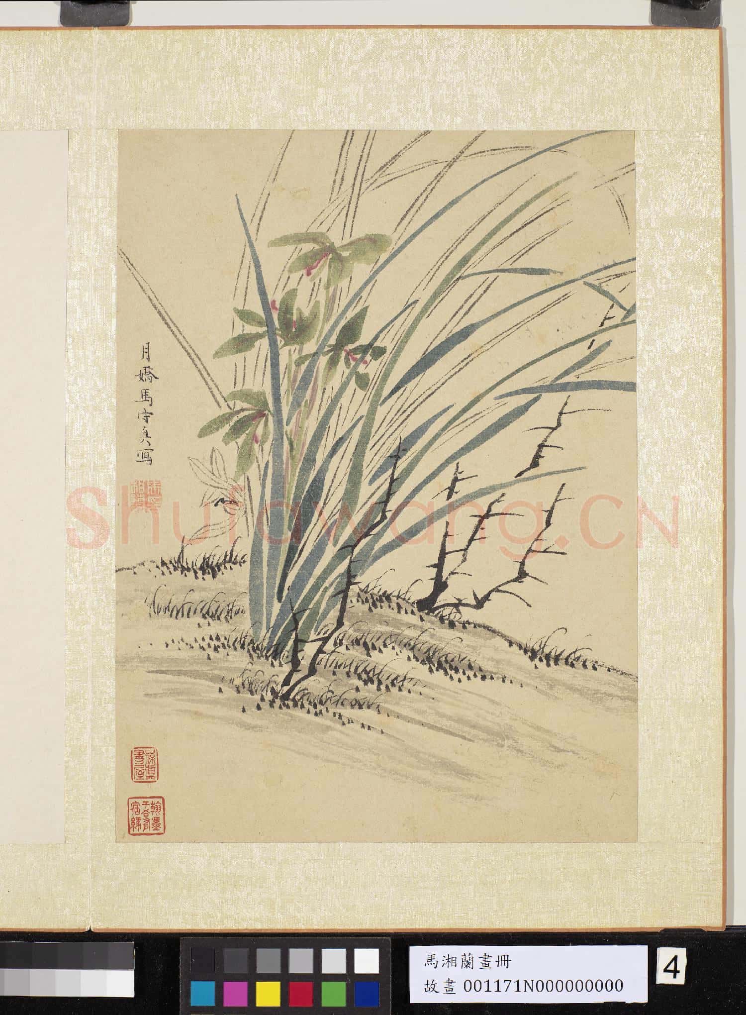 明馬守真畫冊 冊 荊棘叢蘭