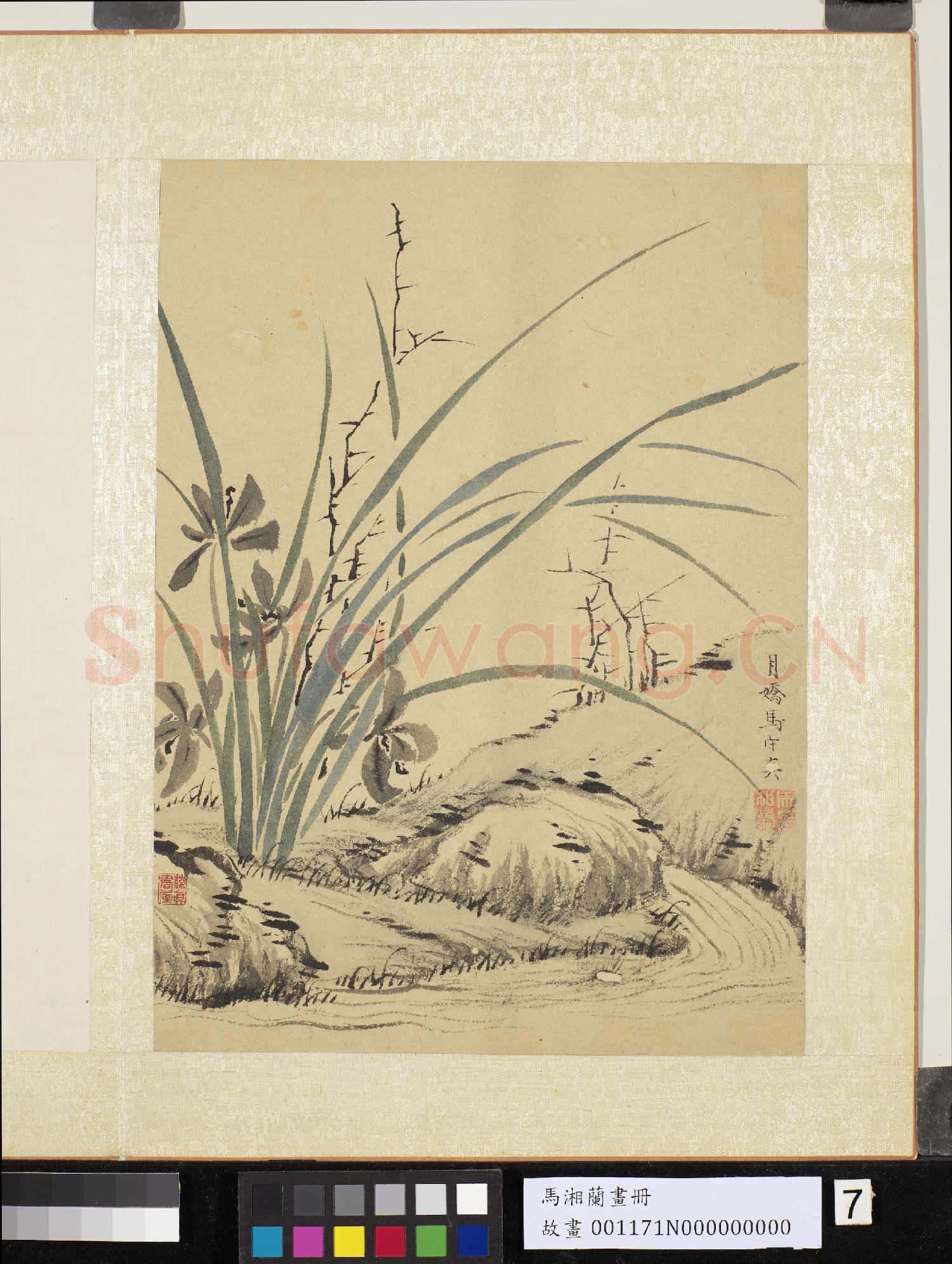 明馬守真畫冊 冊 水濱幽蘭