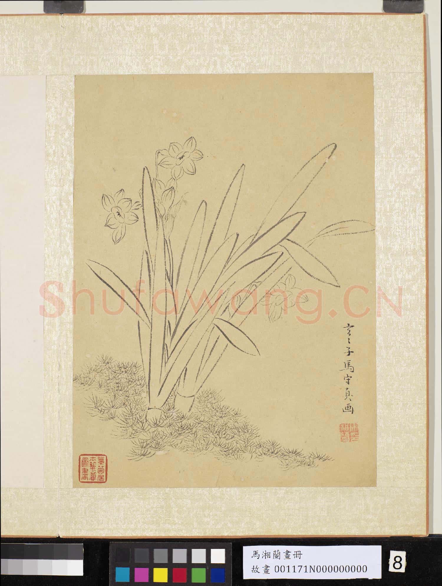 明馬守真畫冊 冊 白描水仙