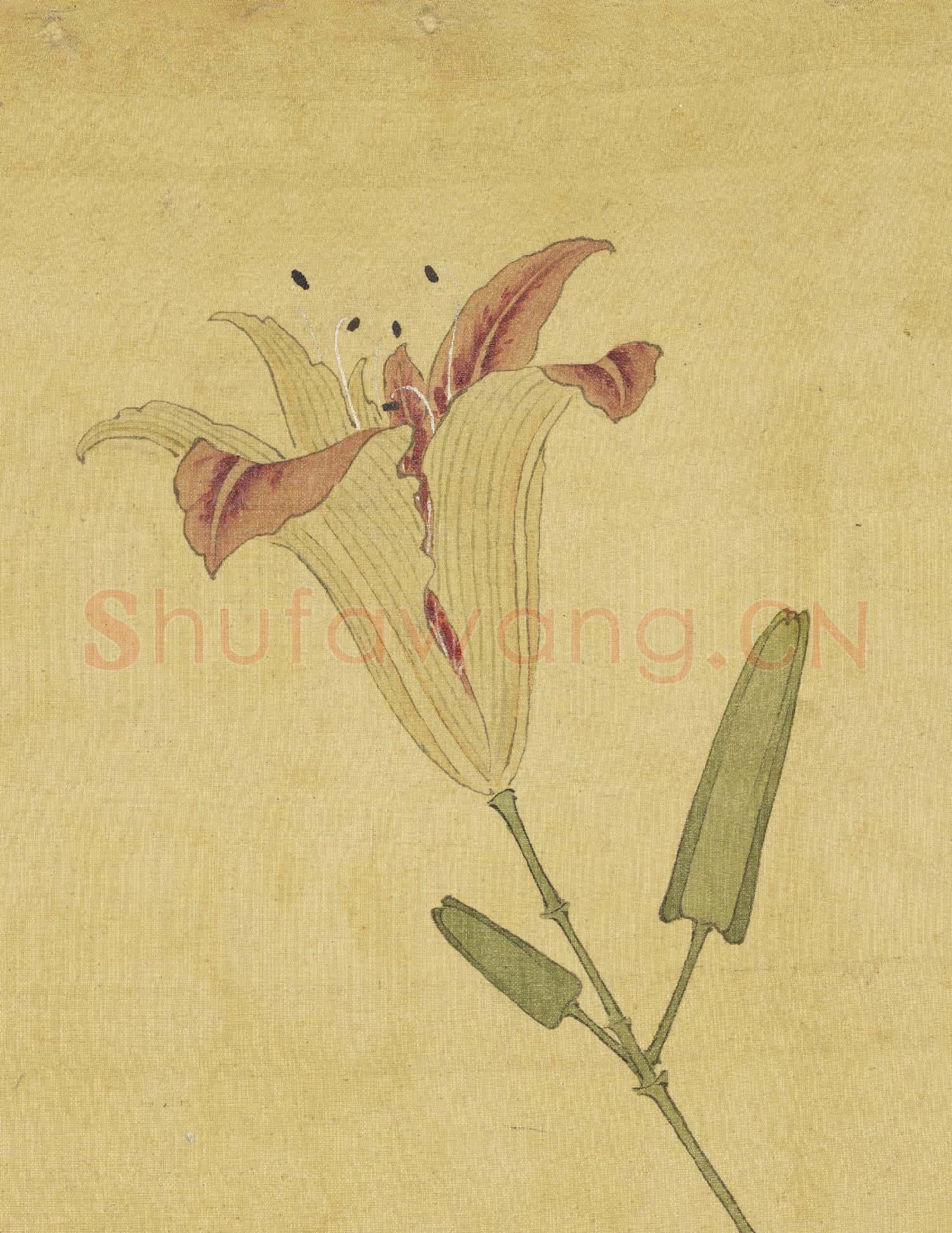 清陳字文房集錦 冊 萱花