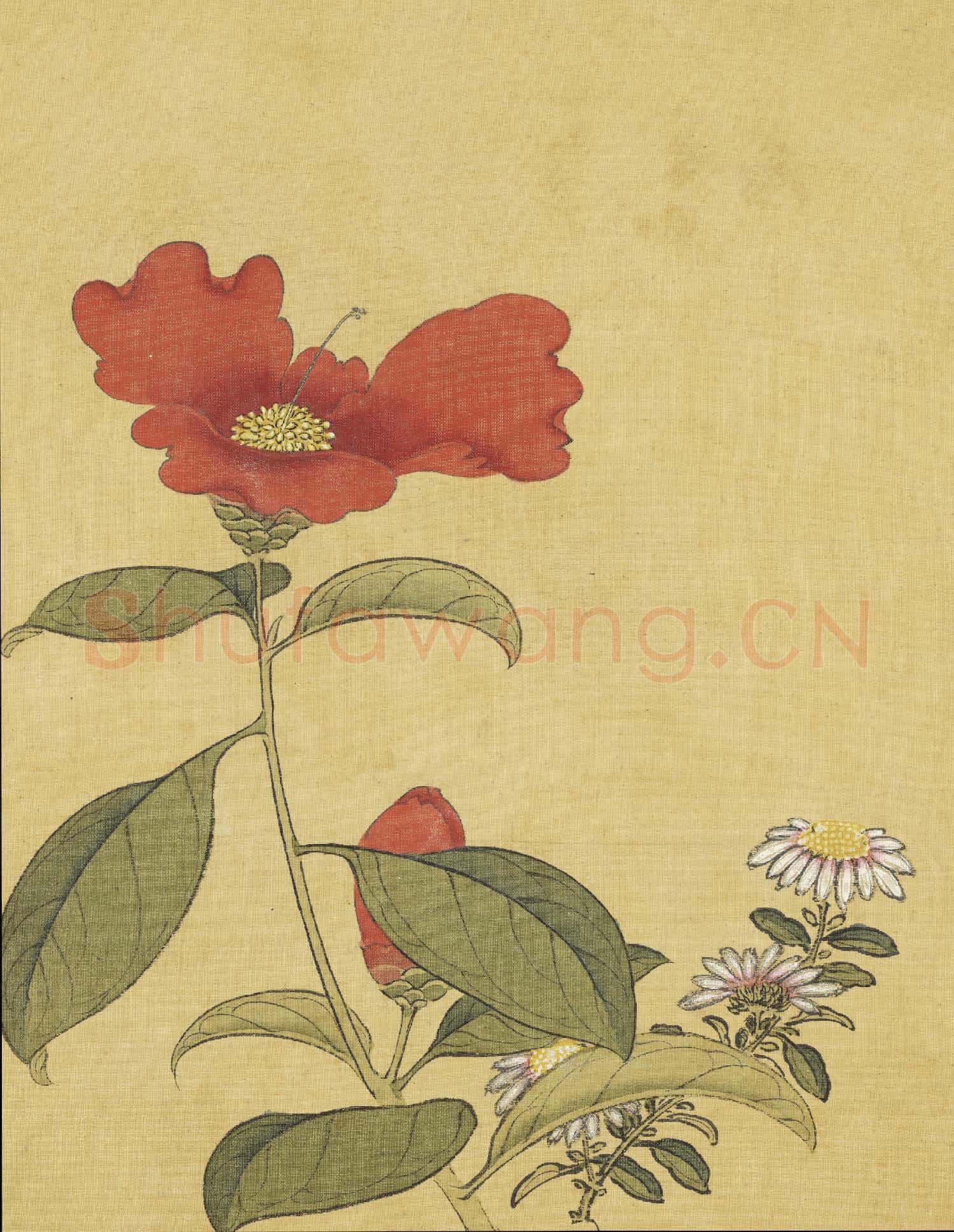 清陳字文房集錦 冊 山茶野菊