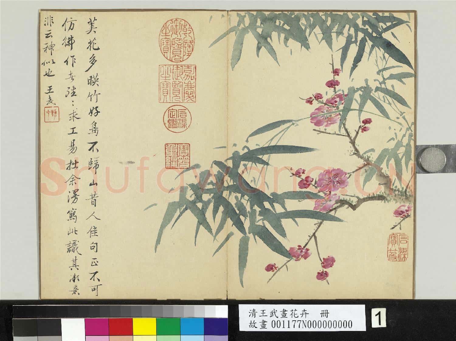 清王武畫花卉 冊 竹下紅梅