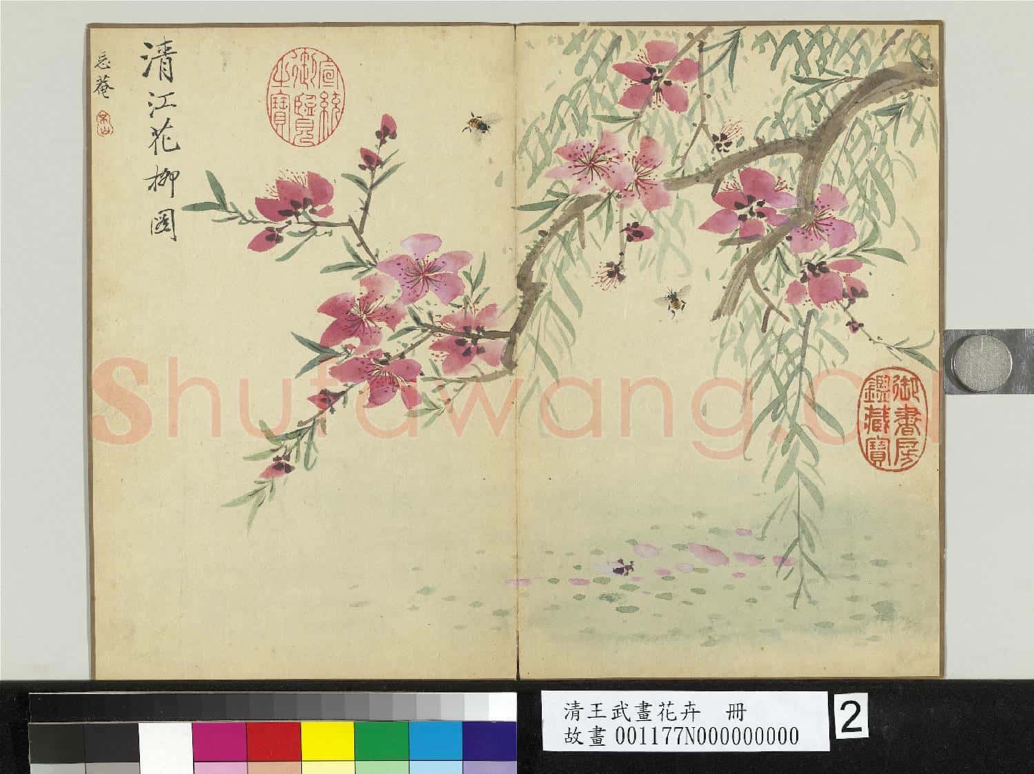 清王武畫花卉 冊 清江花柳