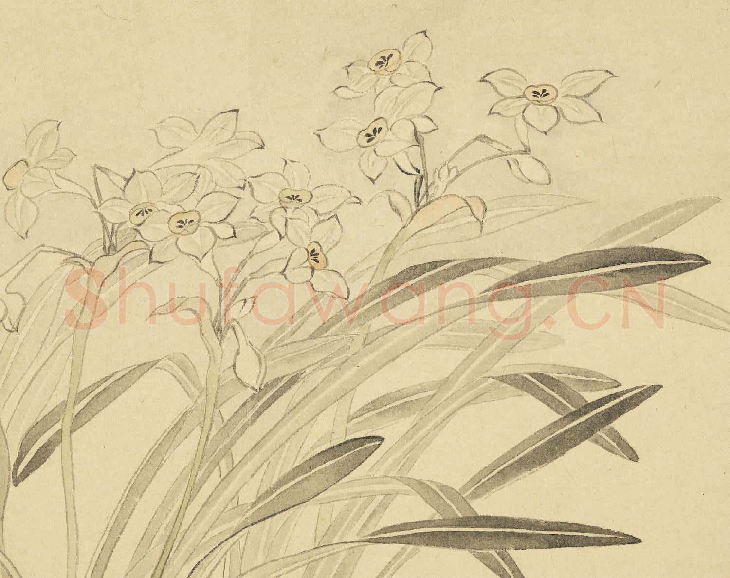 清惲壽平摹古 冊 水仙