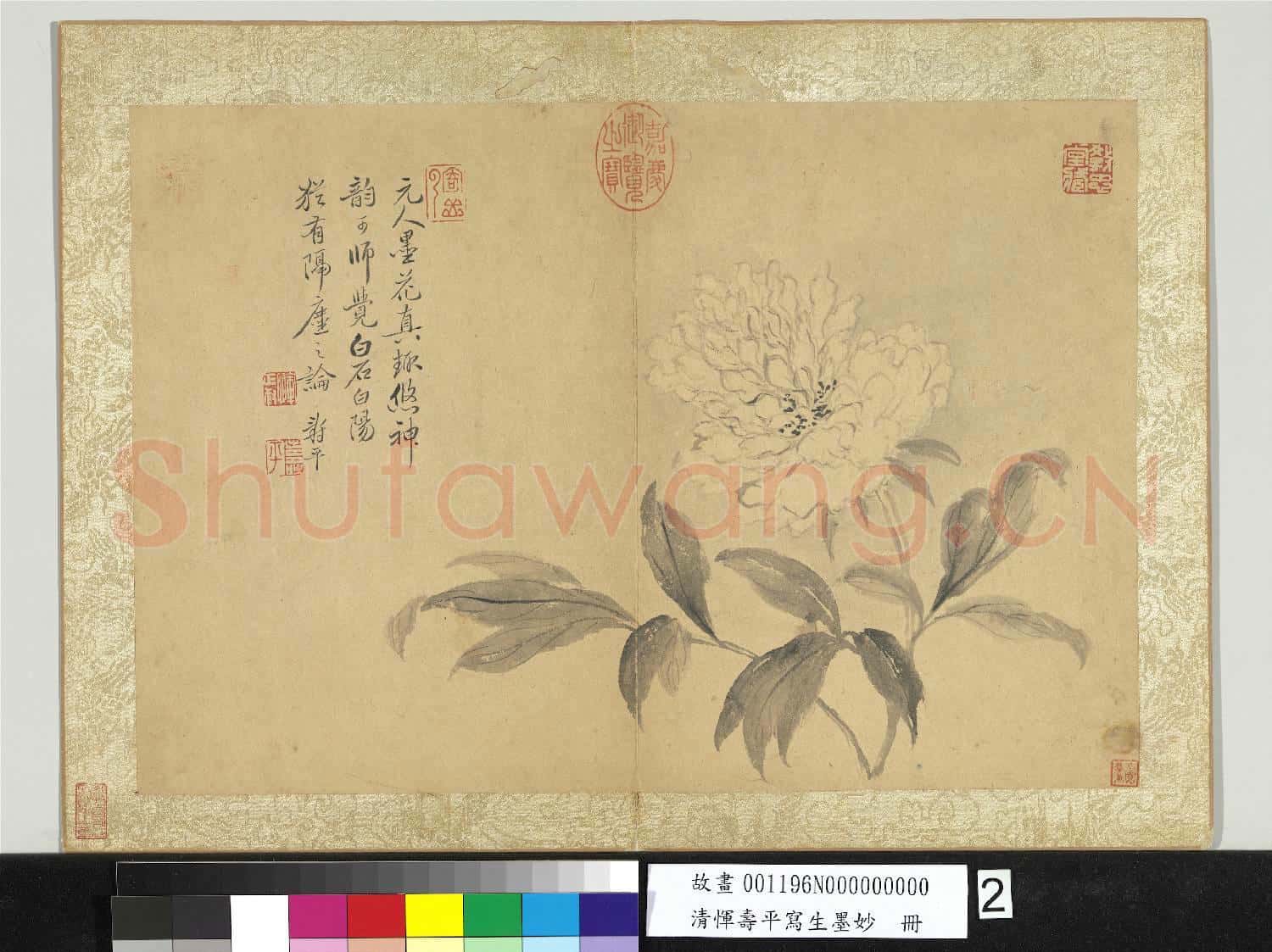 清惲壽平寫生墨妙 冊 牡丹