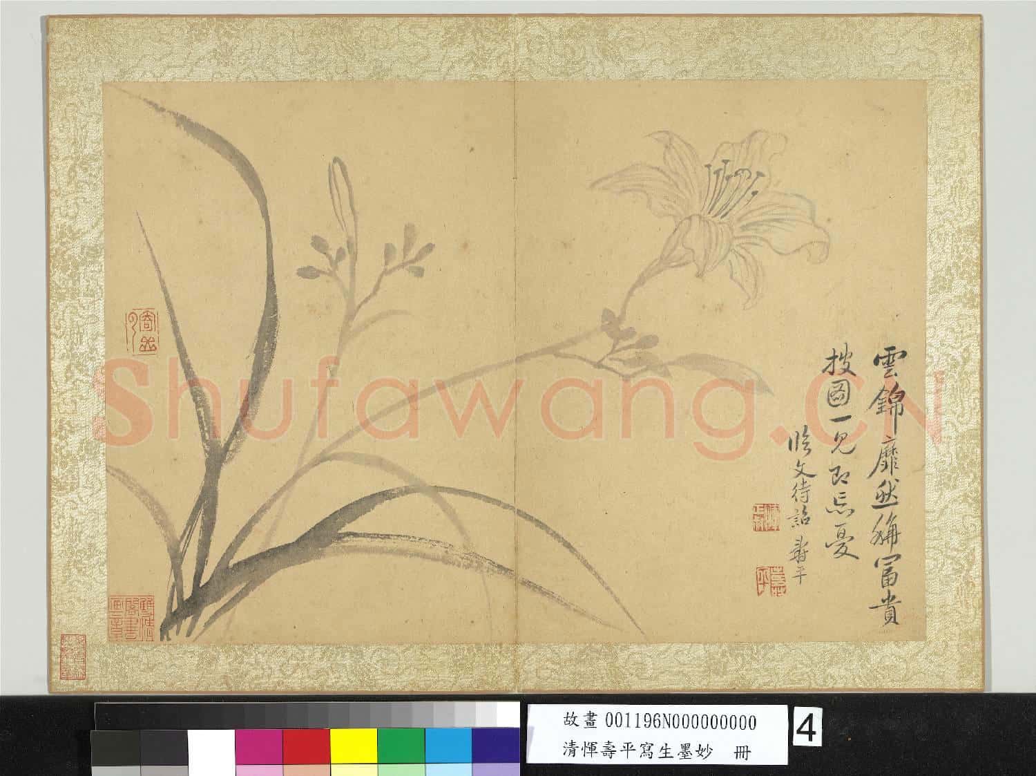 清惲壽平寫生墨妙 冊 萱花