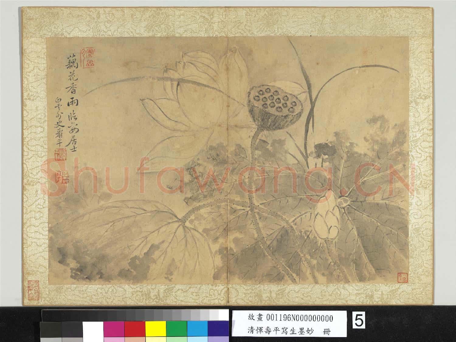 清惲壽平寫生墨妙 冊 荷花