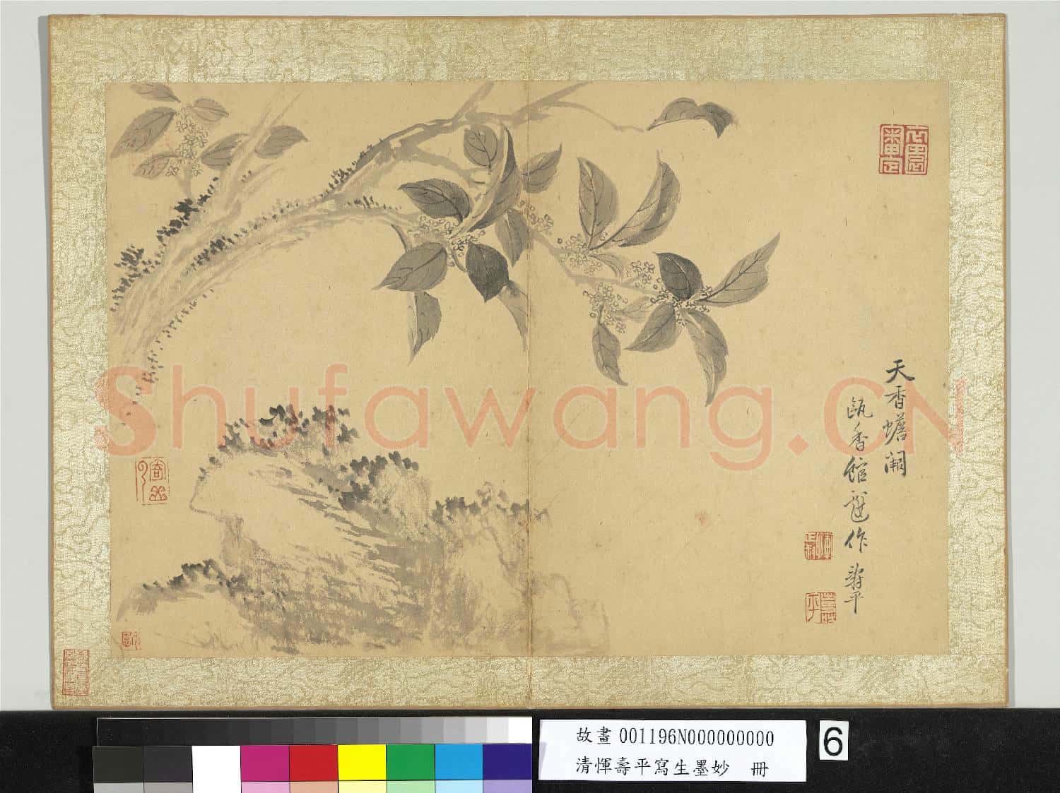 清惲壽平寫生墨妙 冊 天香蟾闕