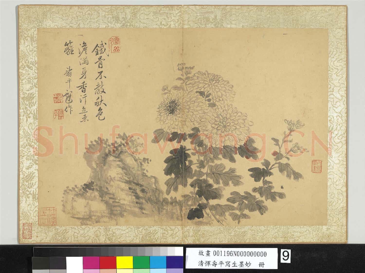 清惲壽平寫生墨妙 冊 菊花