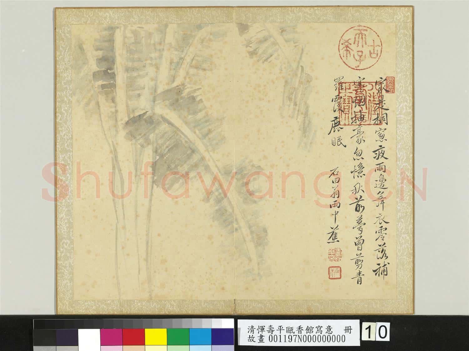 清惲壽平甌香館寫意 冊 雨中蕉
